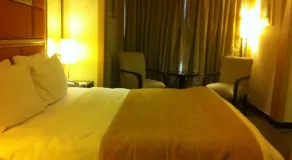 Lemon Tree Premier, Jaipur - Room