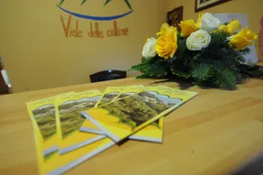 B&B Viale delle Colline - Reception
