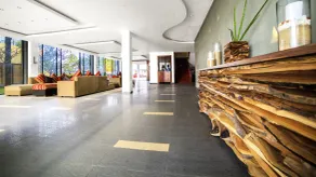 Amagi Aria Airport Transit Hotel - Réception