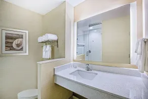 Fairfield Inn & Suites Van Canton Area - Badeværelse