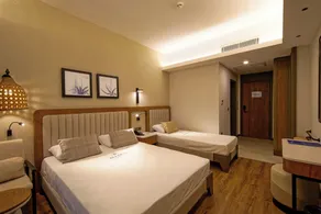 Aletris Deluxe Hotel & SPA - Chambre
