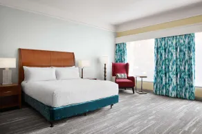 Hilton Garden Inn Dallas Richardson - Room