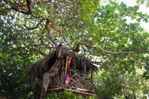 Treehouse Kitecamp Jericoacoara - Chambre