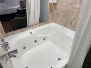 Wingate by Wyndham Livonia - Bad