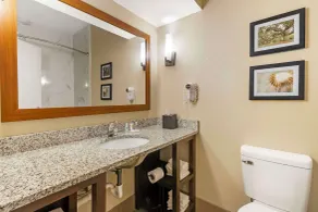Comfort Suites At the University - Chambre