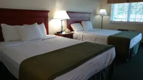Hurricane Inn - Camera