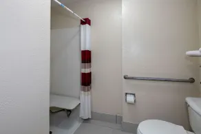 Red Roof Inn & Suites Pensacola-NAS Corry - Salle de bain