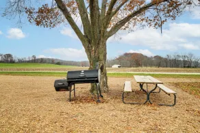 Wine, Dine & Unwind: Hermann Home w/ Spacious Yard - Innvendig