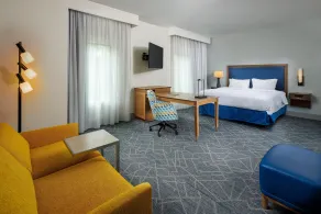 Hampton Inn & Suites Asheville Biltmore Village - Værelse
