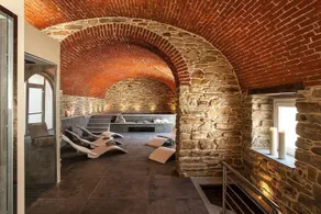 Hemanaire - Wellness