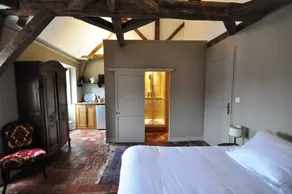 L'Hotel de Panette, Un exceptionnel château en coeur de ville - Chambre