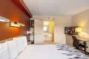 Red Roof Inn Canton - Chambre