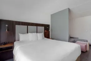 Comfort Suites Mt Juliet-Nashville Area - Chambre