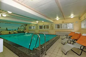 Hotel Waldfrieden - Piscina