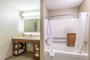 Comfort Suites Escanaba West - Chambre