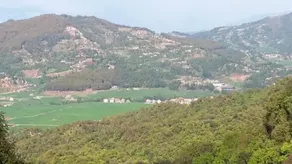 Lala Palace Resort - Vue de la chambre