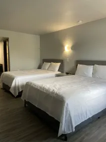 Schmidt's Creek Hotel - Værelse