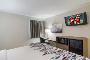 Red Roof Inn I-95 North Brunswick Darien - Habitación