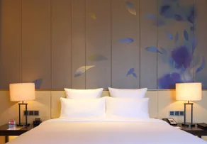 Pullman Nanchang Sunac - View from room