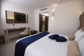Lescure Business Hôtel and SPA  - Chambre
