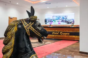 Hotel Rappen Rothenburg ob der Tauber - Réception