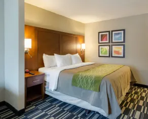 Quality Inn & Suites Ashland near Kings Dominion - Chambre