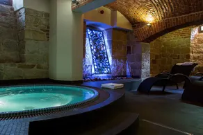 Polanka Conference Center - Spa