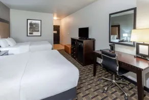 La Quinta by Wyndham Mt. Pleasant - Chambre