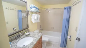 Blue Tree Resort at Lake Buena Vista - Salle de bain