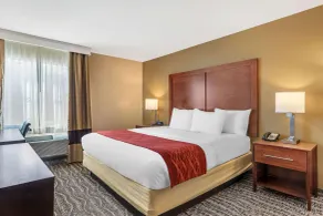 Comfort Inn Monterey Park - Los Angeles - Chambre