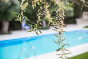 Corina Suites & Apartments - Pool