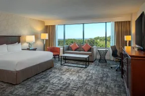 Hilton Greenville - Chambre