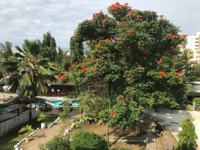 Tulia House Backpackers - View from room
