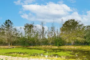 Pasture & Pond Views: Lovely Lutz Apartment - Interiør