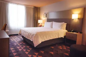 Wyndham Houston Hobby Airport - Chambre