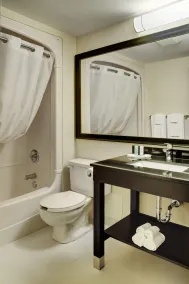 Comfort Inn Sherbrooke - Estrie - Salle de bain