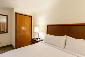 HS HOTSSON Hotel Tampico - Chambre