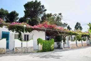 Villaggio Pineta al Mare - Campground - Ausblick vom Zimmer