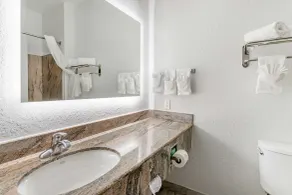 Best Western Texas City I-45 - Badezimmer