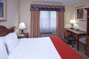 Holiday Inn Express Hotel and Suites Mesquite by IHG - Room