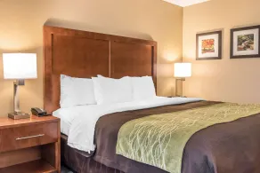 Comfort Inn & Suites Piqua-Near Troy-I75 - Habitación