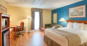 Days Inn by Wyndham Kings Dominion Doswell - Chambre