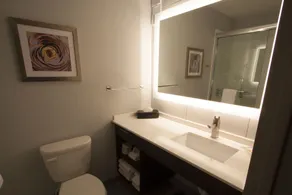 Holiday Inn Alexandria - Downtown by IHG - Salle de bain