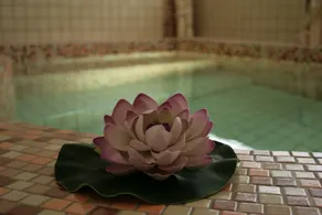 Grand Hotel Don Juan - Spa