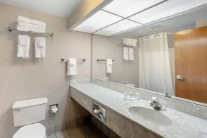 Comfort Inn Huntingdon - Room