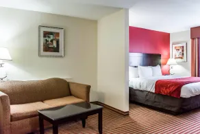 Comfort Suites Palm Bay - Melbourne - Habitación