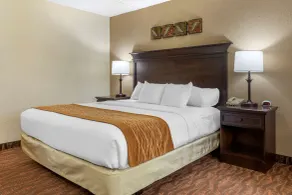 Comfort Inn at Thousand Hills - Chambre