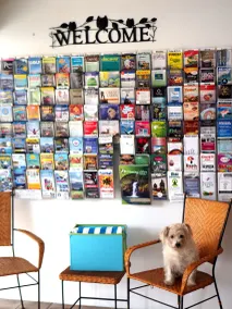Forster Motor Inn - Reception