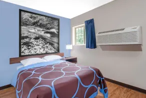 Super 8 by Wyndham Oneonta/Cooperstown - Chambre