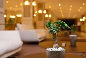 The Grand Gloria Hotel - Reception